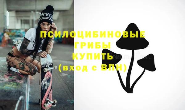 шишки Надым