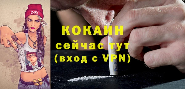 ALPHA PVP Бердск