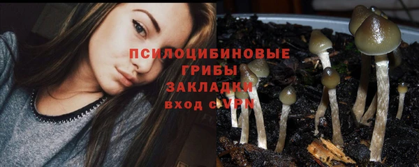 прущий лед Нефтекумск