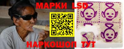 трава Кандалакша