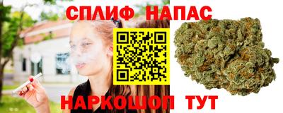 гидропоника Канаш