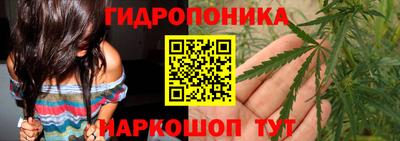 трава Кандалакша