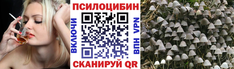 наркошоп  кракен ссылки  Псилоцибиновые грибы мицелий  Прокопьевск 