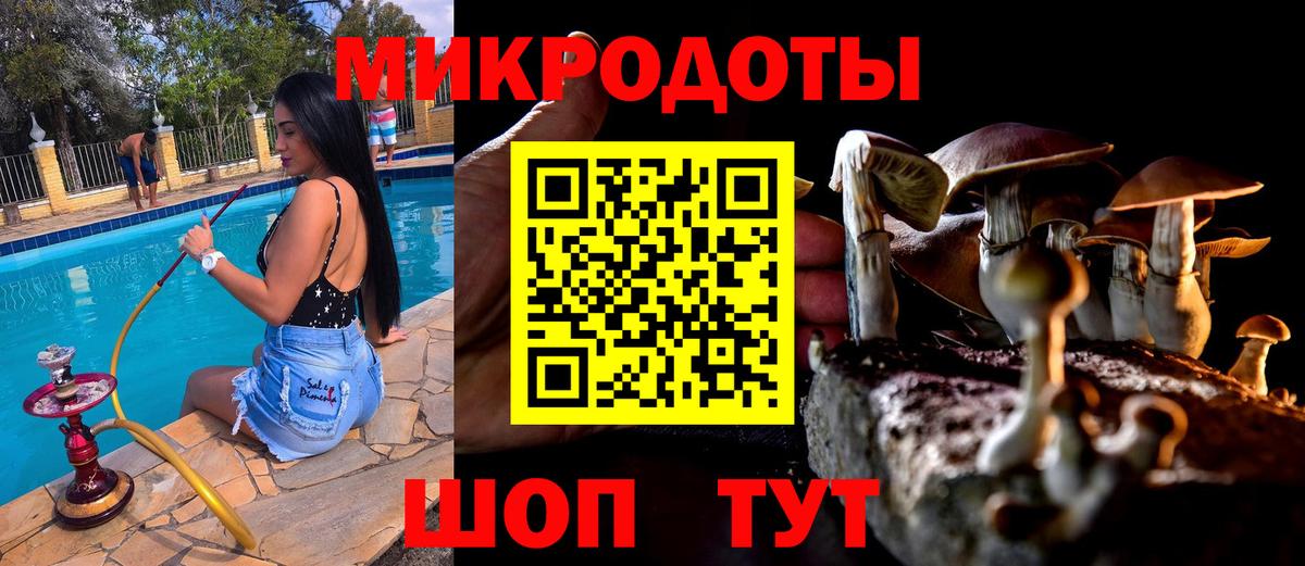 Галлюциногенные грибы Psilocybe  Галлюциногенные грибы GOLDEN TEACHER  Вход с VPN  купить   Прокопьевск 