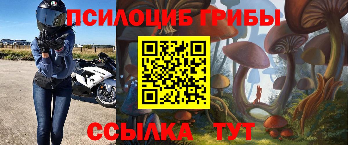 Галлюциногенные грибы Psilocybe  Прокопьевск 