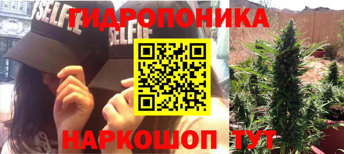 Конопля планчик  Вход с VPN  МАРИХУАНА THC 21%  Канабис Ganja  Прокопьевск 